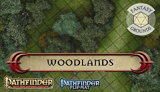 Fantasy Grounds - Pathfinder RPG - Pathfinder Flip-Mat - Classic Woodlands