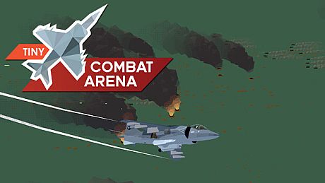 Tiny Combat Arena Game