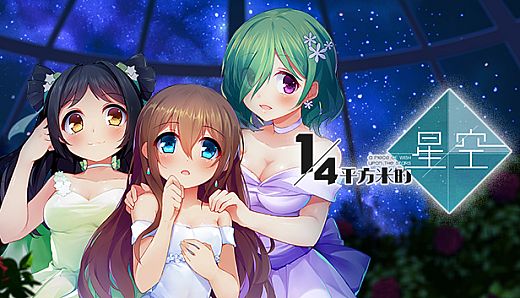 A Piece of Wish upon the Stars