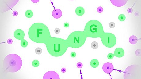 FUNGI Game