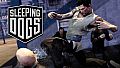 Sleeping Dogs: Drunken Fist Pack