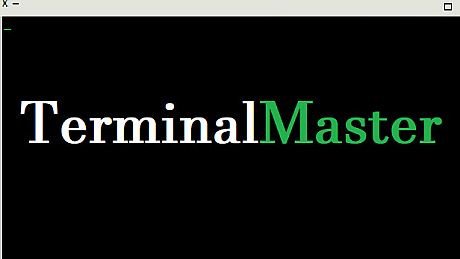 TerminalMaster Game