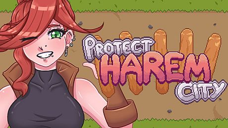 Protect Harem City Game