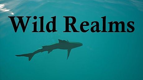 Wild Realms Game