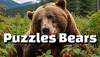 Kup Puzzles Bears na PC
