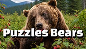 Puzzles Bears