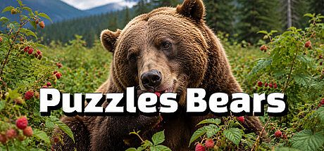 Puzzles Bears Game