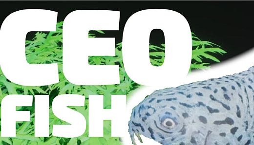 CEO Fish