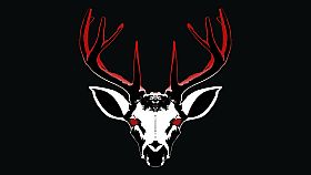 Project 13: Taxidermy