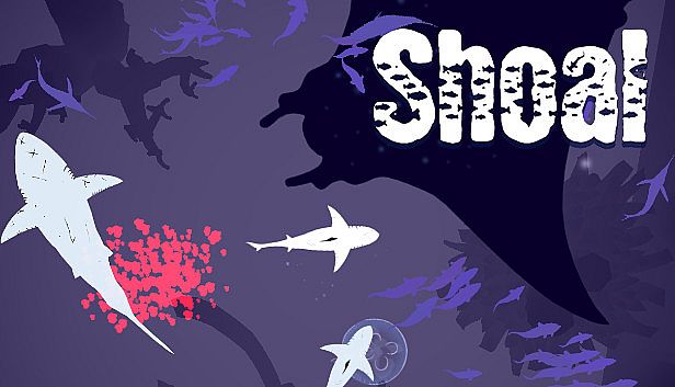 Buy Shoal