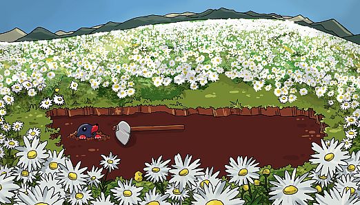Sokobear Spring