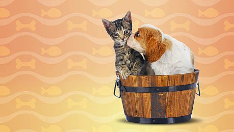 I Love Finding Cats & Pups Collector's Edition Game