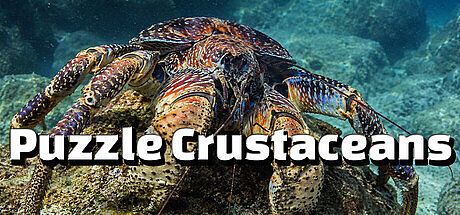 Puzzle Crustaceans