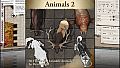 Fantasy Grounds - Animals 2 (Token Pack)