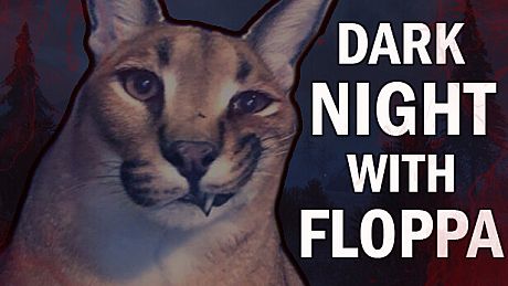 DARK NIGHT WITH FLOPPA Game