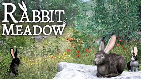 Rabbit Meadow Game
