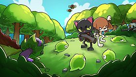 Pets Survivors