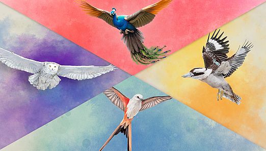 Wingspan + European + Oceania + Asia