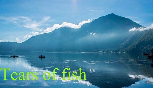 Tears of fish