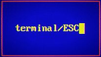 Kup Terminal ESC na PC