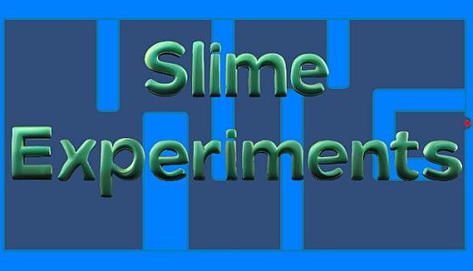 Slime Experiments