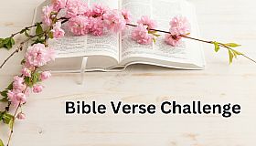 Bible Verse Challenge