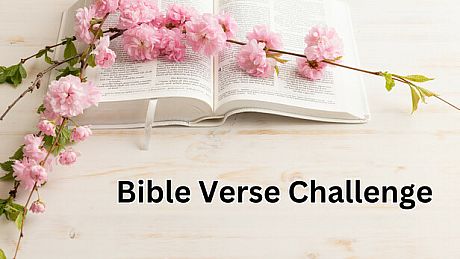 Bible Verse Challenge Game