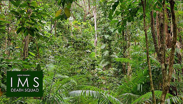 Buy Lucky Pikinini - IMS Death Squad