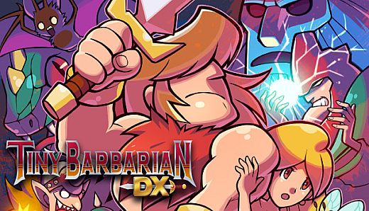 Tiny Barbarian DX