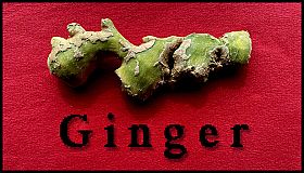 Ginger