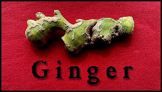 Ginger
