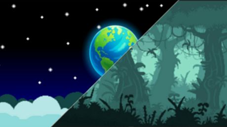 The Alligators Bundle Bundle