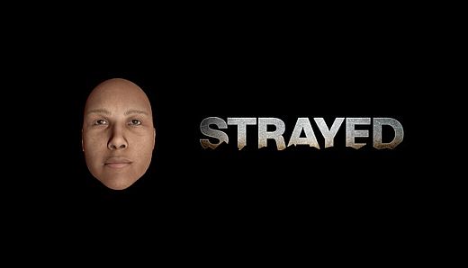 Strayed - Dinkleberg Rock Skin