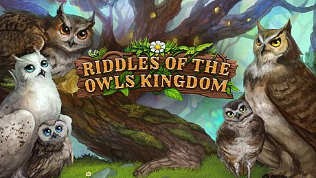 Riddles of the Owls Kingdom Game