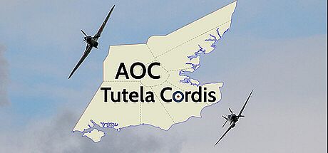 AOC Tutela Cordis Game
