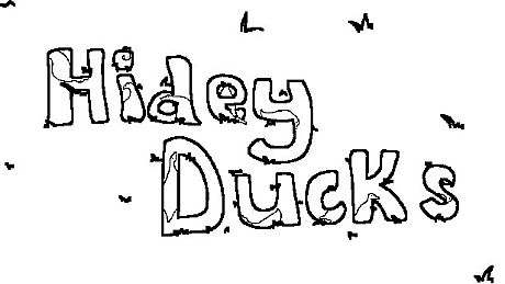 Hidey Ducks: Seasons Game