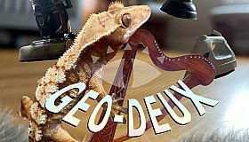 GEO-DEUX