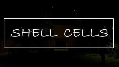 Shell Cells Game