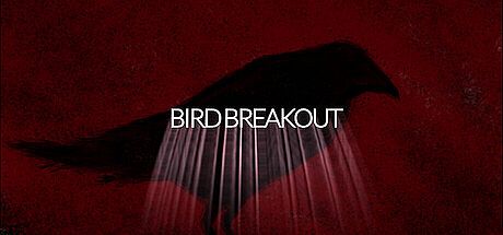 Bird Breakout Game