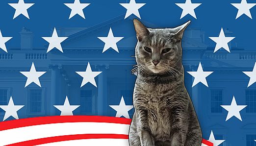 Cat President: A More Purrfect Union