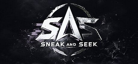 Sneak And Seek Game