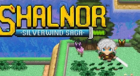 Shalnor: Silverwind Saga Game