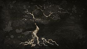 The Dead Tree of Ranchiuna