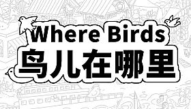 Where Birds 鸟儿在哪里