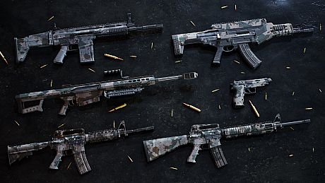 Insurgency: Sandstorm - Year 2 Pass DLC