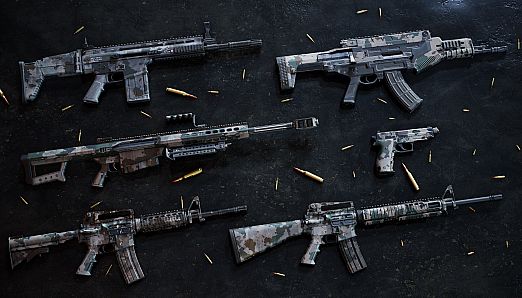 Insurgency: Sandstorm - Year 2 Pass