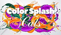 Buy Color Splash: Cats PC