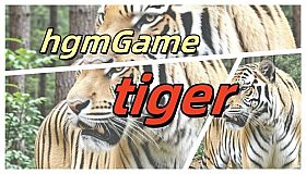 hgmGame-tiger