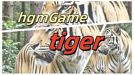 hgmGame-tiger Game