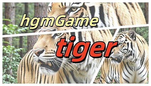 hgmGame-tiger